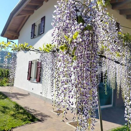 Agritur Lavanda Nave San Rocco 外观 照片