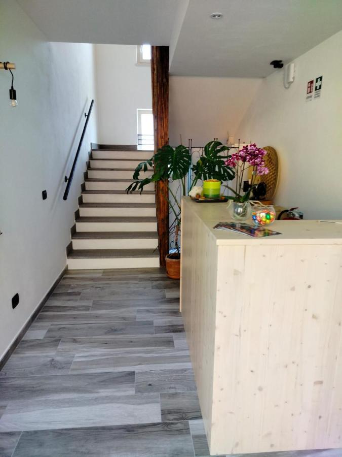 Agritur Lavanda Nave San Rocco 外观 照片