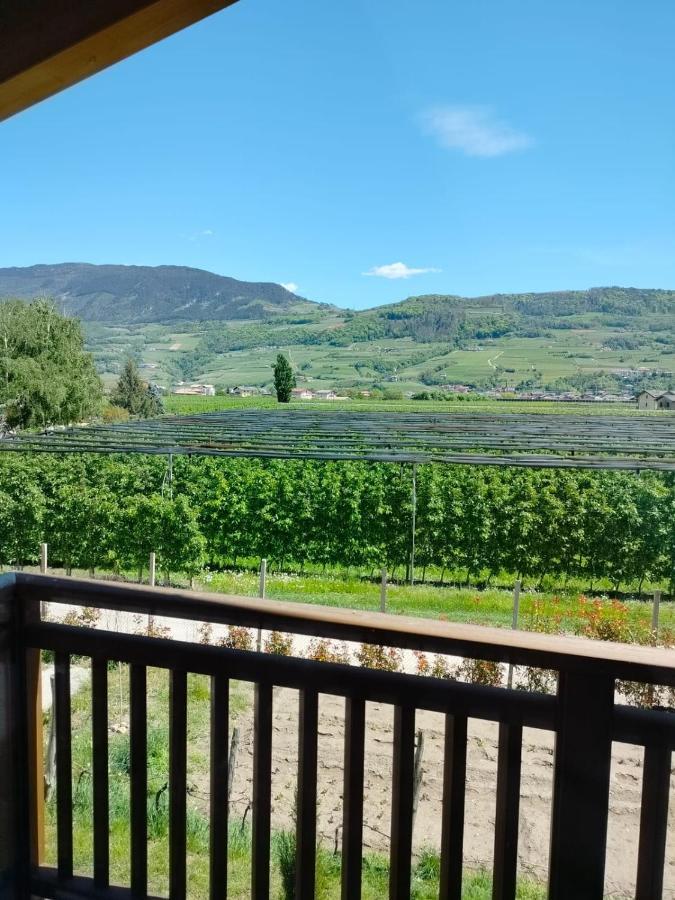 Agritur Lavanda Nave San Rocco 外观 照片
